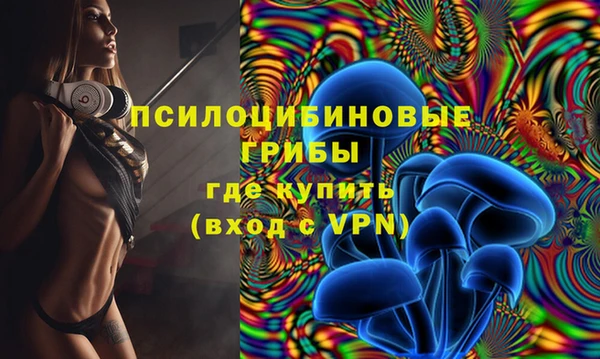 a pvp Арсеньев